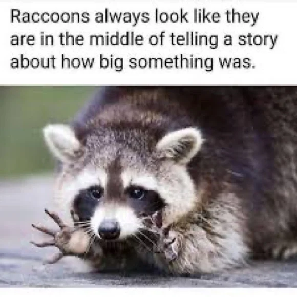 125 PICKS BEFORE I GOT CUT OFF!😻Y’ALL ROCK!🤘🏼TY FOR THE POSH LOVE/SHARES♥️🌷 - Picture 8 of 9